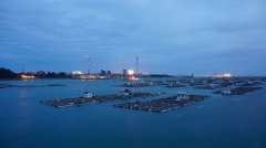 <b>石化废水深度处理技术的研究进展</b>